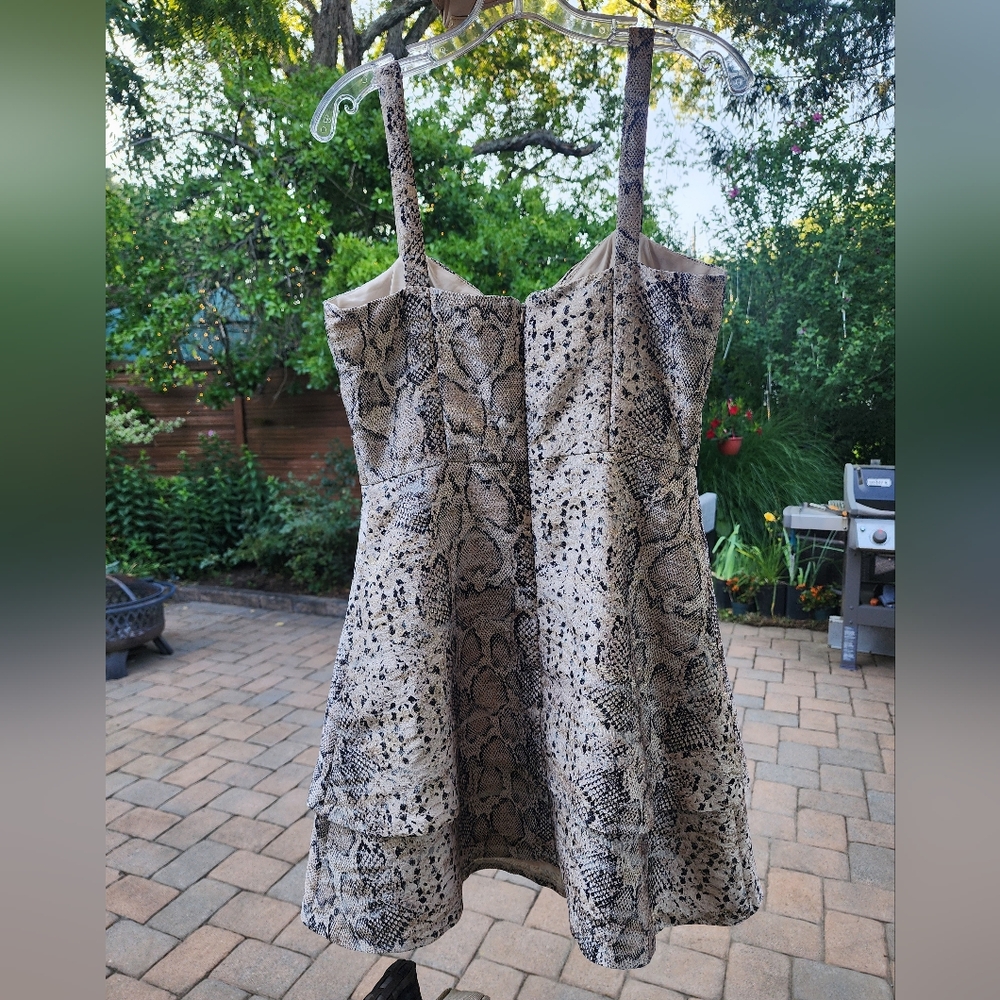 Hutch Size.6Keeley Fit & Flare Dress Silver Black Gold Snake Skin.like New. - Picture 5 of 7